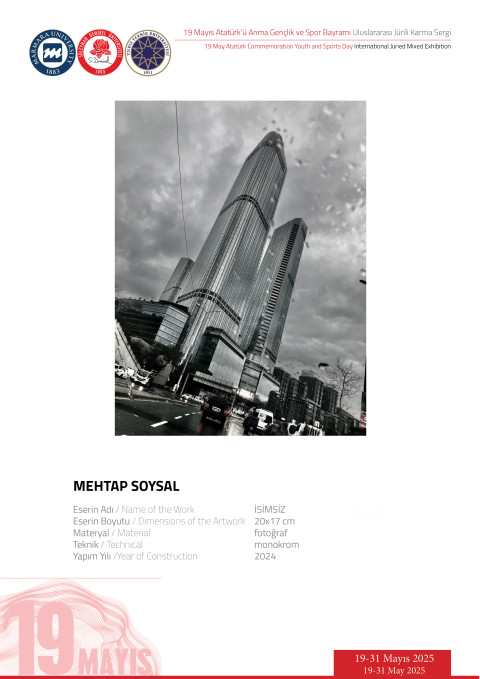 MEHTAP SOYSAL